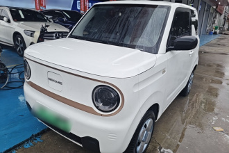 吉利银河 2024款 熊猫mini 200km 耐力熊