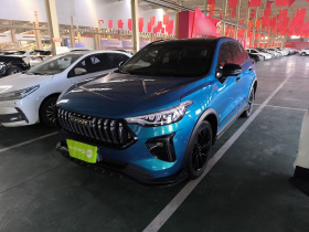 哈弗赤兔 2021款 激擎版 1.5T 铂金兔