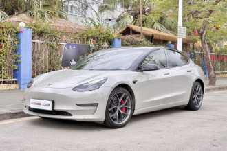 特斯拉 Model 3 2021款 Performance高性能全轮驱动版