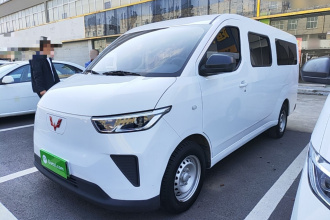 五菱汽车 五菱扬光 2024款 300km 舒适型客车版 75kW