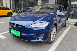特斯拉 Model X 2019款 长续航版