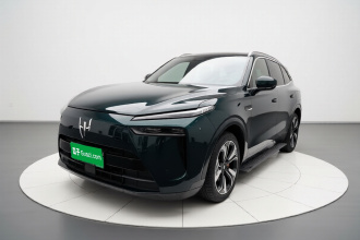 魏牌 蓝山 2023款 四驱超长续航版