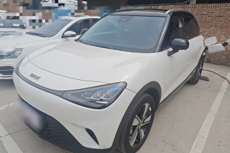 smart精灵#1 2024款 灵动标准版