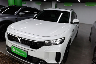 岚图汽车 岚图FREE 2025款 318 318km 后驱环游版