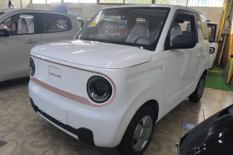 吉利银河 2024款 熊猫mini 200km 耐力熊