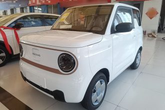 吉利银河 2024款 熊猫mini 200km 耐力熊