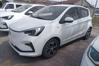 长安 奔奔E-Star 2022款 清心版 多彩款 三元锂