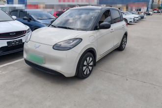 五菱汽车 五菱缤果 2024款 333km 悦享款