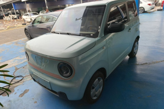 吉利银河 2023款 熊猫mini 200km 耐力熊