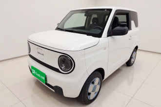 吉利银河 2024款 熊猫mini 200km 耐力熊