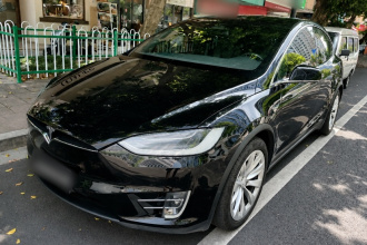 特斯拉 Model X 2019款 长续航版