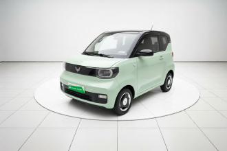五菱汽车 宏光MINIEV 2021款 马卡龙时尚款 磷酸铁锂