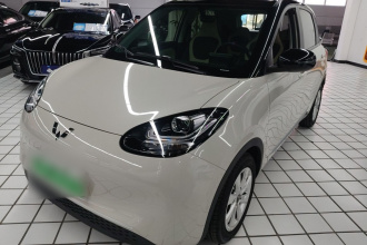 五菱汽车 五菱缤果 2023款 203km 轻享款