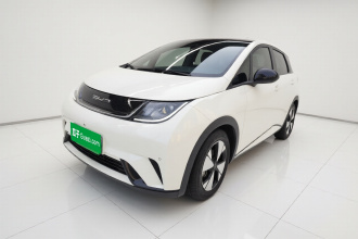 比亚迪 海豚 2023款 420km 时尚版