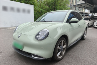 欧拉好猫 2023款 401km标准续航 豪华型 磷酸铁锂
