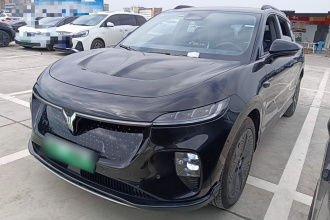 岚图汽车 岚图知音 2024款 四驱全球版