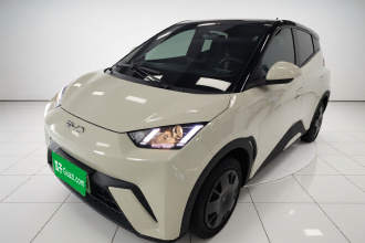 比亚迪 海鸥 2024款 荣耀版 305km 活力版