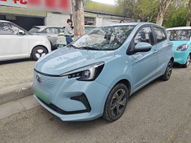 长安 奔奔E-Star 2022款 清心版 多彩款 三元锂