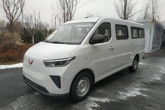 五菱汽车 五菱扬光 2024款 300KM 舒适型客车版 75kW