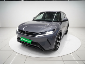 比亚迪 元UP 2024款 401KM 领先型