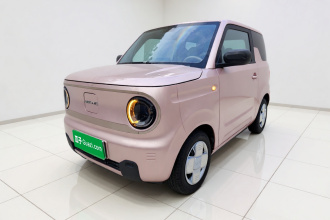 吉利银河 2024款 熊猫mini 200km 耐力熊