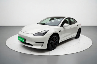 特斯拉 Model 3 2022款 Performance高性能全轮驱动版
