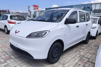 五菱汽车 五菱宏光新能源 2024款 纯电版 300KM 实用型