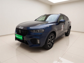 魏牌 VV7 2019款 升级款 2.0T 旗舰型 国V