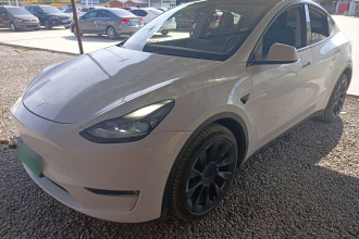 特斯拉 Model Y 2021款 长续航全轮驱动版