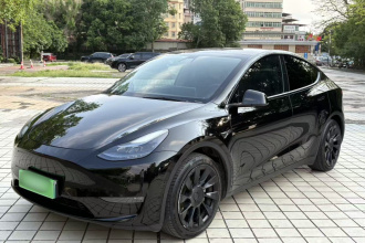 特斯拉 Model Y 2021款 标准续航后驱版
