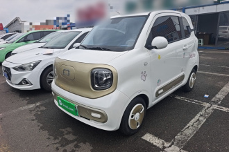 奔腾小马 2024款 170km 活力马