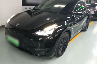 特斯拉 Model Y 2021款 长续航全轮驱动版 3D7