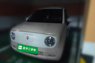 欧拉黑猫 2022款 351km 舒适型 三元锂