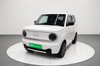 吉利银河 2023款 熊猫mini 200km 耐力熊