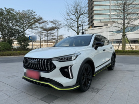 哈弗赤兔 2021款 激擎版 1.5T 黄金兔