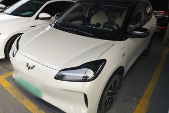 五菱汽车 五菱缤果PLUS 2024款 401km 五座版