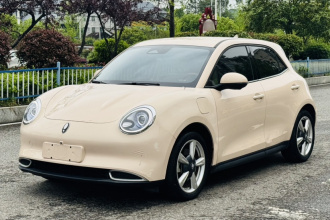 欧拉好猫 2023款 401km标准续航 豪华型 磷酸铁锂