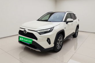 丰田 RAV4荣放 2023款 2.0L CVT两驱20周年铂金纪念版
