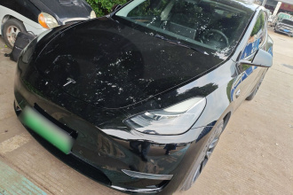 特斯拉 Model Y 2021款 标准续航后驱版