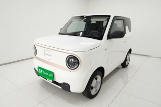 吉利银河 2024款 熊猫mini 200km 耐力熊
