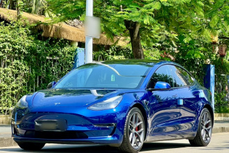 特斯拉 Model 3 2021款 Performance高性能全轮驱动版