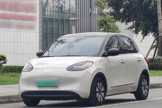 五菱汽车 五菱缤果 2023款 410km 灵犀尊享款