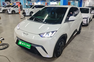 比亚迪 海鸥 2025款 305km 活力版