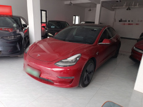 特斯拉 Model 3(进口) 2019款 长续航后驱版