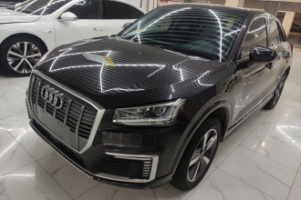奥迪Q2L e-tron 2019款 Q2L e-tron 纯电智享型