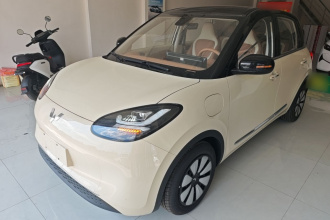 五菱汽车 五菱缤果 2025款 333km 悦享款