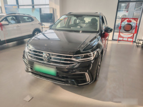 大众 途观L新能源 2023款 430PHEV 插电混动尊贵版