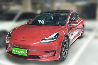 特斯拉 Model 3 2019款 标准续航后驱升级版