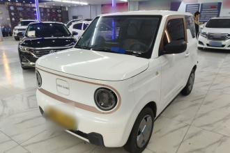 吉利银河 2023款 熊猫mini 200km 耐力熊