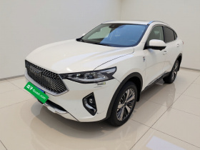 哈弗F7x 2021款 2.0T 两驱极智潮玩版